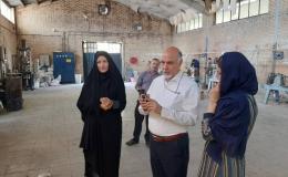 رئیس مجمع خیرین یاریگران زندگی کشور از مراکز اشتغال بهبودیافتگان استان زنجان بازدید کرد
