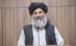 طالبان: کشورهای منطقه برای کشت جایگزین خشخاش همکاری کنند