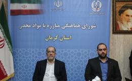 برگزاری کارگاه آموزشی سازمان&zwnj;های مردم&zwnj;نهاد منطقه پنج کشور در کرمان