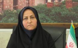 فرماندار خنج: شایعه آزادسازی کشت خشخاش و شاهدانه ترفند سودجویان برای فریب جوانان است