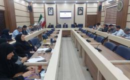 تدوین سند جامع پیشگیری از اعتیاد خراسان شمالی در مرحله پایانی