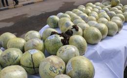 کشف بیش از ۲۵ کیلو گرم انواع مواد مخدر توسط پلیس همدان
