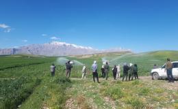 رئیس جهاد کشاورزی کرمانشاه: در برخورد با کشت&zwnj;های ممنوعه جدی هستیم