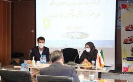 شبکه&zwnj;های خود مراقبتی ایجاد می&zwnj;شود