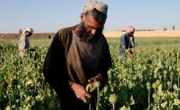 فرانس۲۴: پاکستان در حال تبدیل&zwnj;شدن به قطب تازه مواد مخدر منطقه است