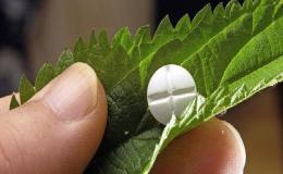 تولید محصول دانش&zwnj;بنیان ترک اعتیاد در پژوهشکده گیاهان دارویی جهاد دانشگاهی