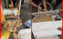 کشف ۶ کیلو و ۵۰۰ گرم شیشه جاسازی شده از یک میوه خشک&zwnj;کن در فرودگاه امام خمینی (ره)