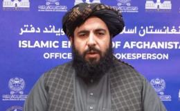 واکنش منفی طالبان به گزارش سازمان ملل؛ خشخاش کاهش ۹۹ درصدی داشته است