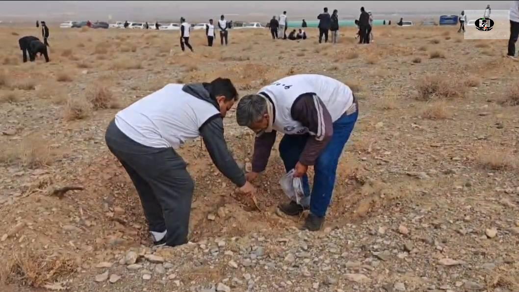 برگزاری اردوی درخت&zwnj;کاری با هدف بیابان&zwnj;زدایی