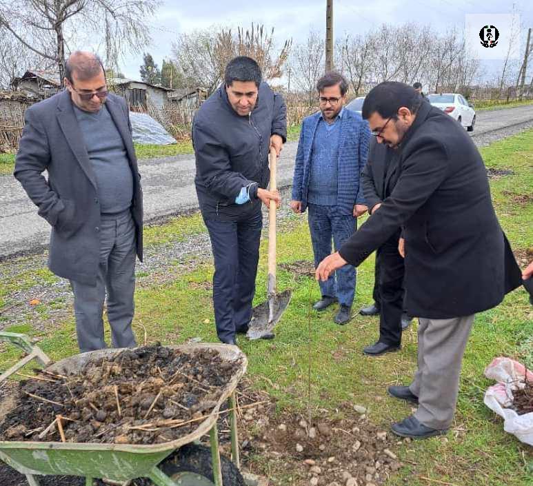 کاشت یکهزار اصله درخت در مراکز نگهداری، درمان و کاهش آسیب مازندران