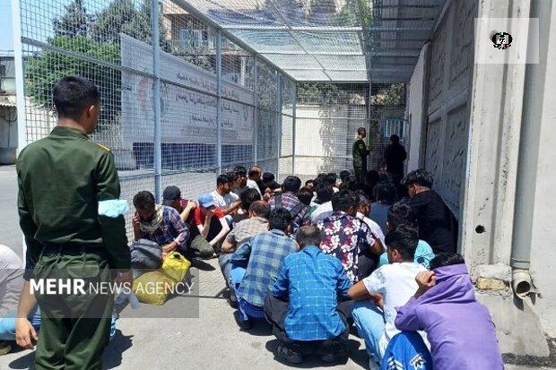 جمع&zwnj;آوری ۲۶۰ نفر اتباع بیگانه غیرمجاز در هیرمند