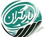 پایان موفقیت آمیز مرحله اول طرح یاریگران&zwnj; زندگی در فضای مجازی
