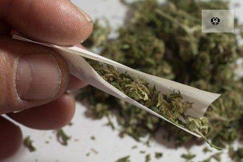 دستگیری پدر و پسر گُل&zwnj;فروش/کشف ۱۷۰کیلو تریاک در تهران