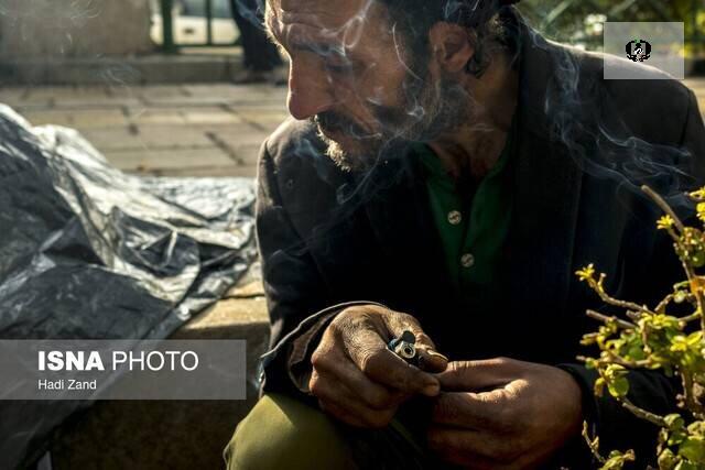 مقابله جدی با کشت خشخاش در خوزستان